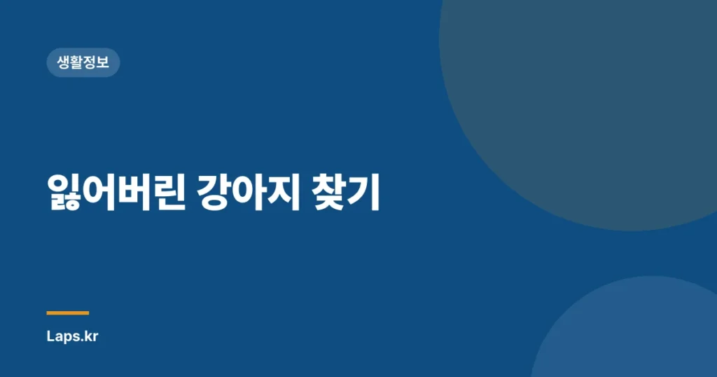 잃어버린 강아지 찾기