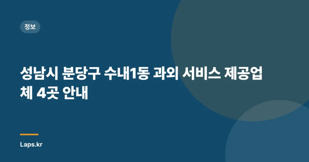 성남시 분당구 수내1동 과외 서비스 제공업체 4곳 안내