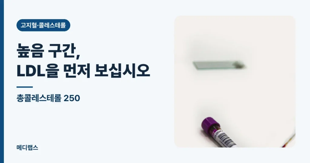 총콜레스테롤 250 — 높음 구간, LDL을 먼저 확인하십시오