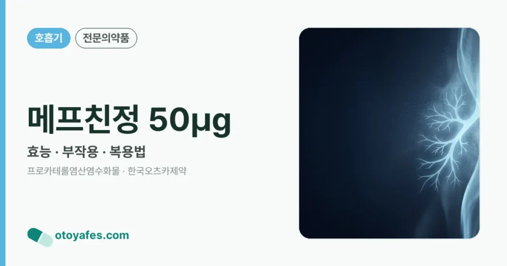 메프친정50마이크로그램 효능과 부작용, 사용법