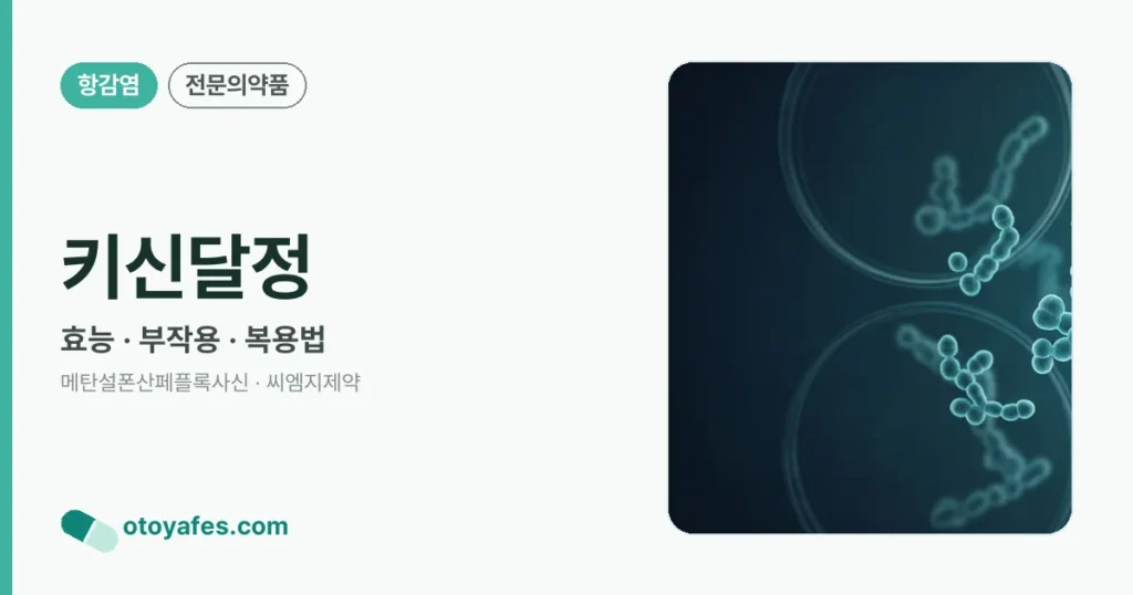 키신달정 효능과 부작용, 복용법