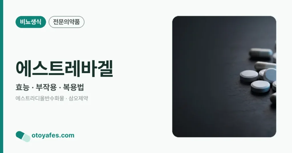 에스트레바겔 정리 썸네일