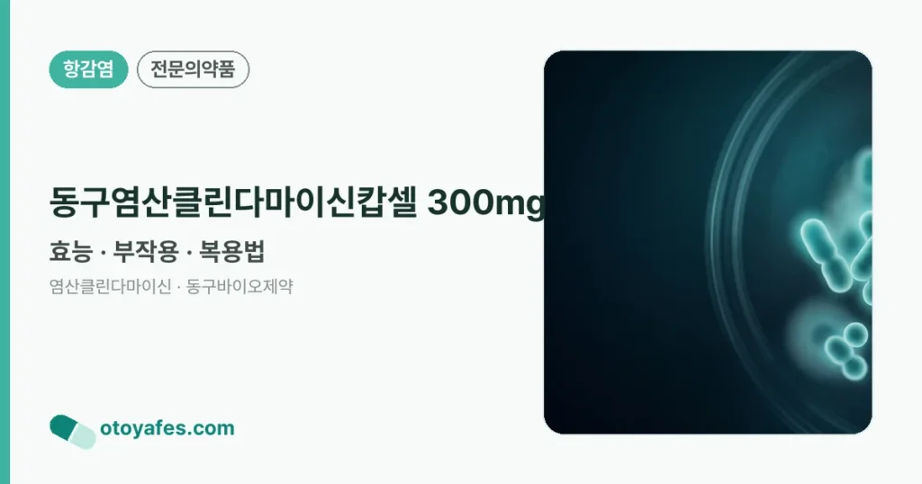 동구염산클린다마이신캅셀300mg 효능과 부작용, 사용법