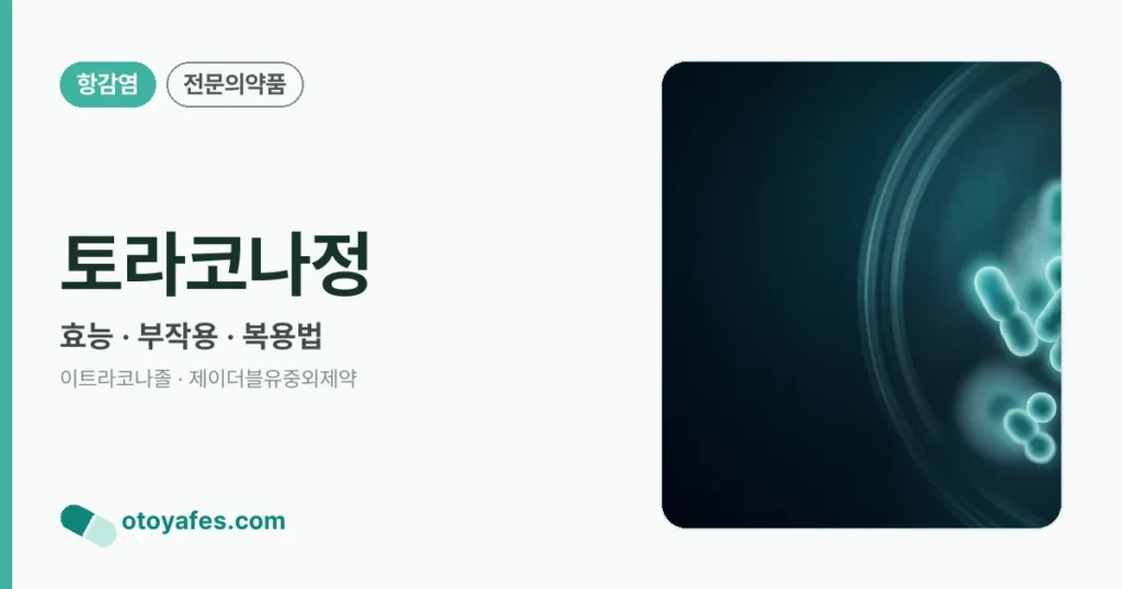토라코나정 정리 썸네일