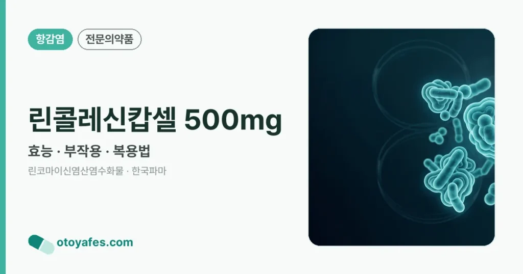 린콜레신캅셀500mg 효능과 부작용, 사용법