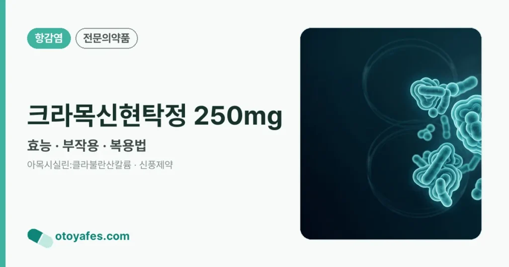 크라목신현탁정250밀리그람 효능과 부작용, 사용법