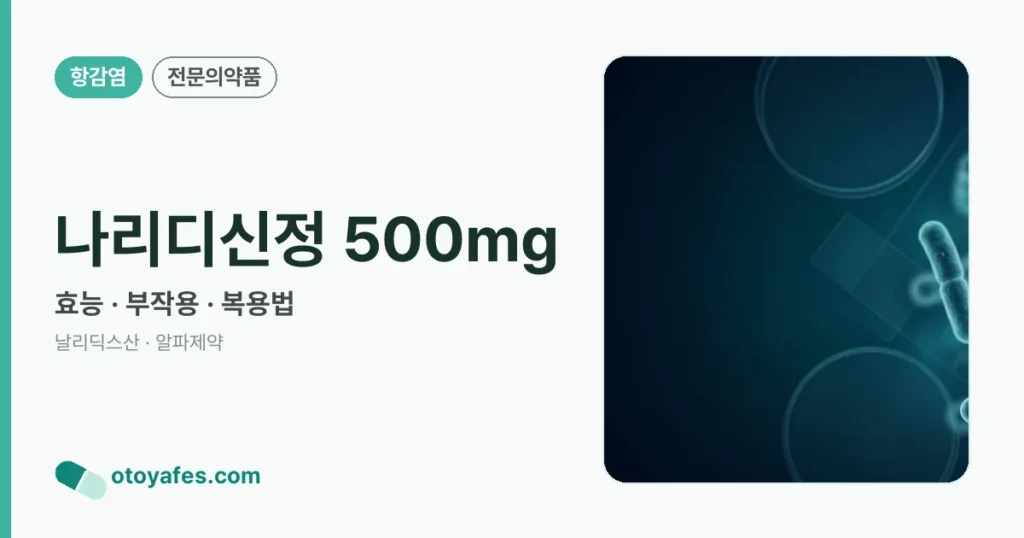 나리디신정500밀리그람 효능과 부작용, 사용법
