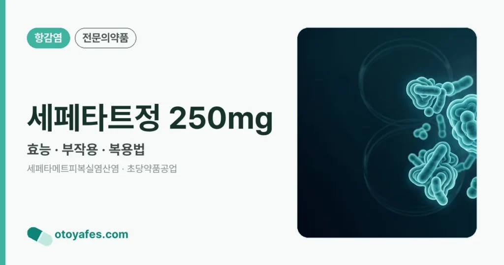 세페타트정250밀리그람 효능과 부작용, 사용법