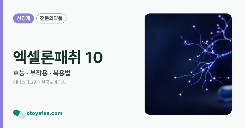엑셀론패취 10 정리 썸네일