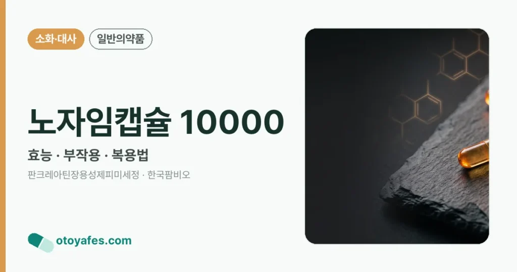 노자임캡슐10000 효능과 부작용, 복용법
