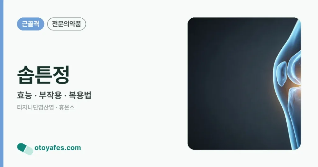솝튼정 정리 썸네일