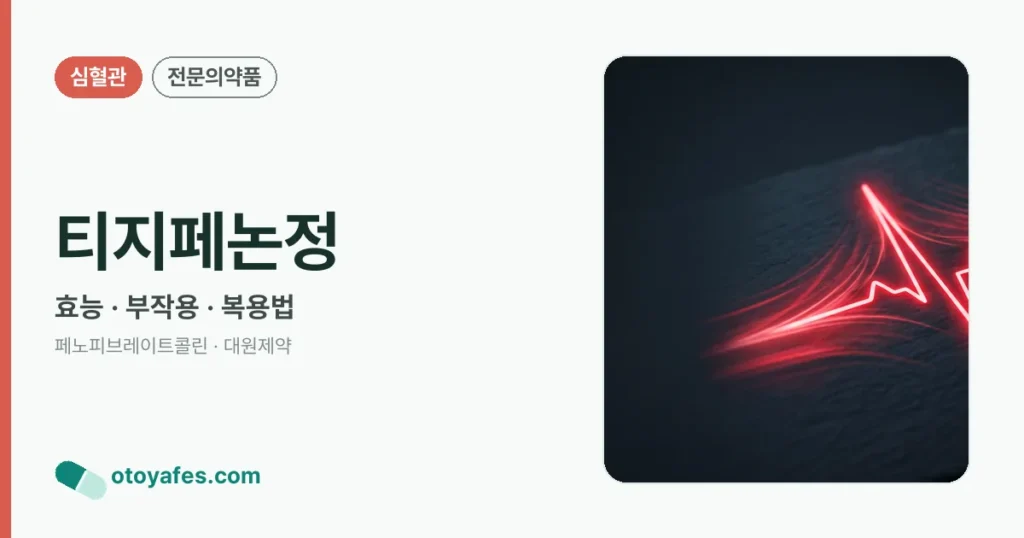 티지페논정 정리 썸네일