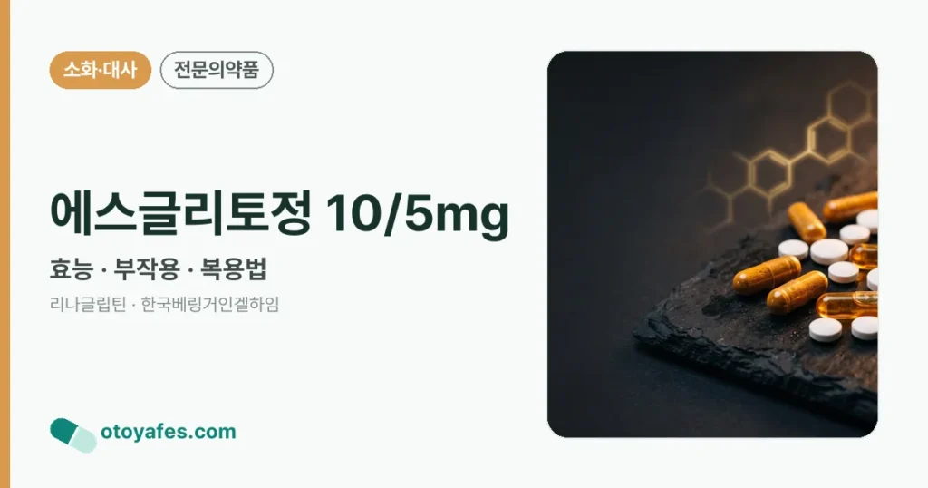에스글리토정 10/5mg 정리 썸네일